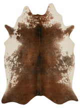 Loloi Grand Canyon Gc-14 Coffee / Ivory Rugs - main flat
