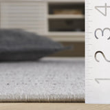 Safavieh Adirondack 4'-0" x 6'-0" Rug in Light Grey / Dark Grey