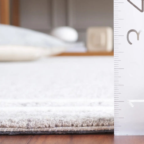 Safavieh Ebony 4'-0" x 6'-0" Rug in Grey / Ivory