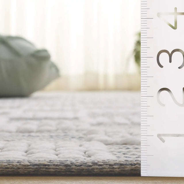 Safavieh Montauk 4'-0" x 6'-0" Rug in Silver / Ivory