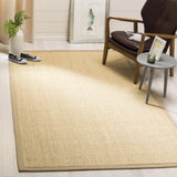 Safavieh Natural Fiber 4'-0" x 6'-0" Rug in Ivory / Beige