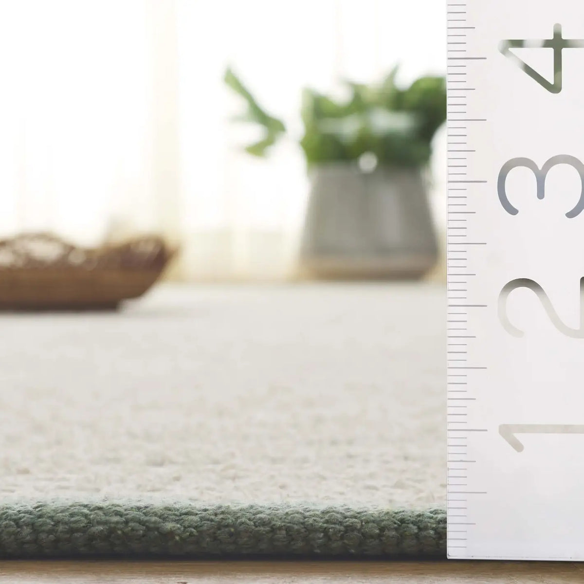Safavieh Montauk 4'-0" x 6'-0" Rug in Ivory / Green