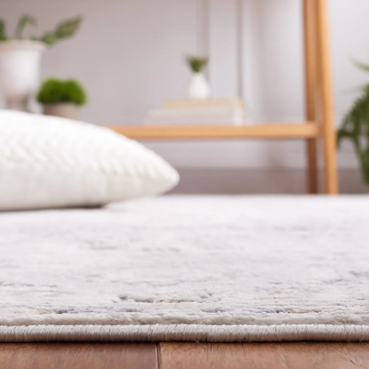 Safavieh Eternal 4'-0" x 6'-0" Rug in Grey / Ivory