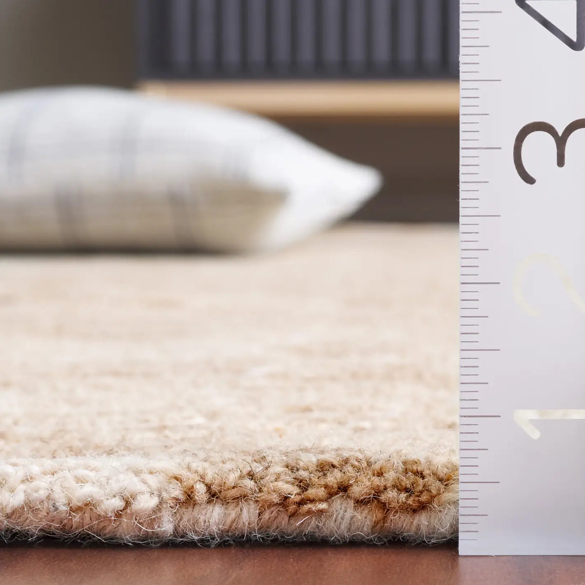 Safavieh Ebony 4'-0" x 6'-0" Rug in Beige / Brown