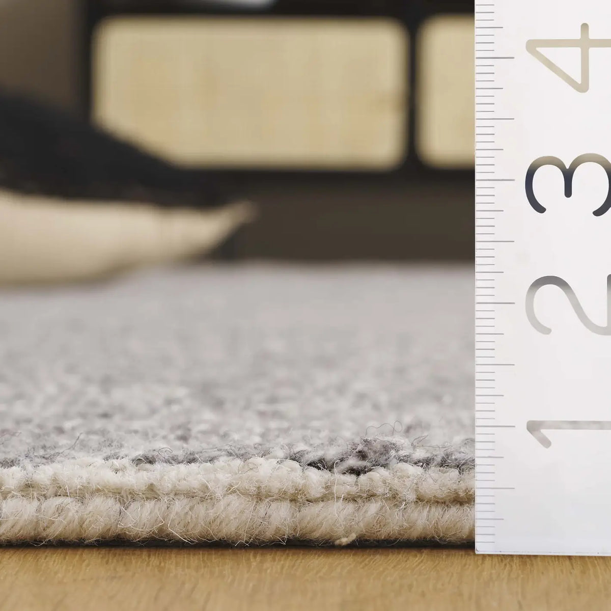 Safavieh Ebony 4'-0" x 6'-0" Rug in Grey