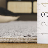 Safavieh Ebony 4'-0" x 6'-0" Rug in Grey