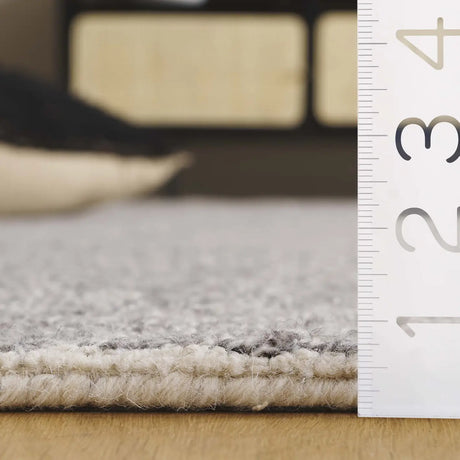Safavieh Ebony 4'-0" x 6'-0" Rug in Grey