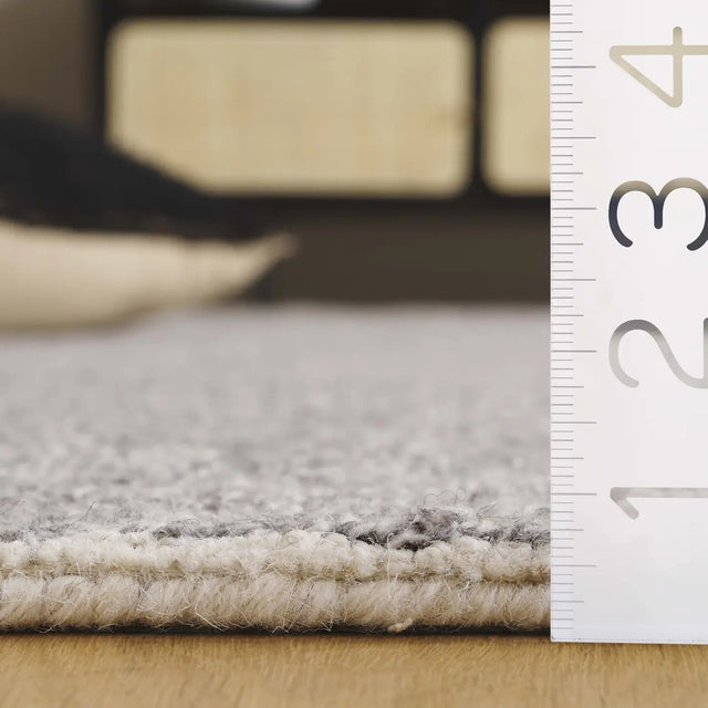 Safavieh Ebony 4'-0" x 6'-0" Rug in Grey