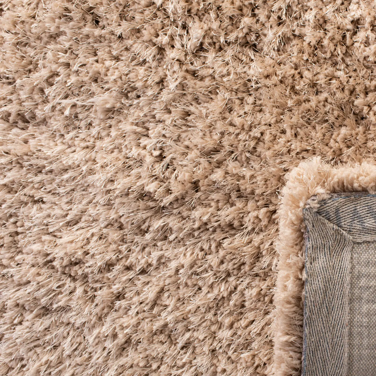 Safavieh Supreme Shag 4'-0" x 6'-0" Rug in Beige