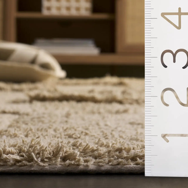 Safavieh Easy Care 4'-0" x 6'-0" Rug in Beige