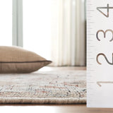 Safavieh Izmir 6'-0" x 9'-0" Rug in Ivory / Gold