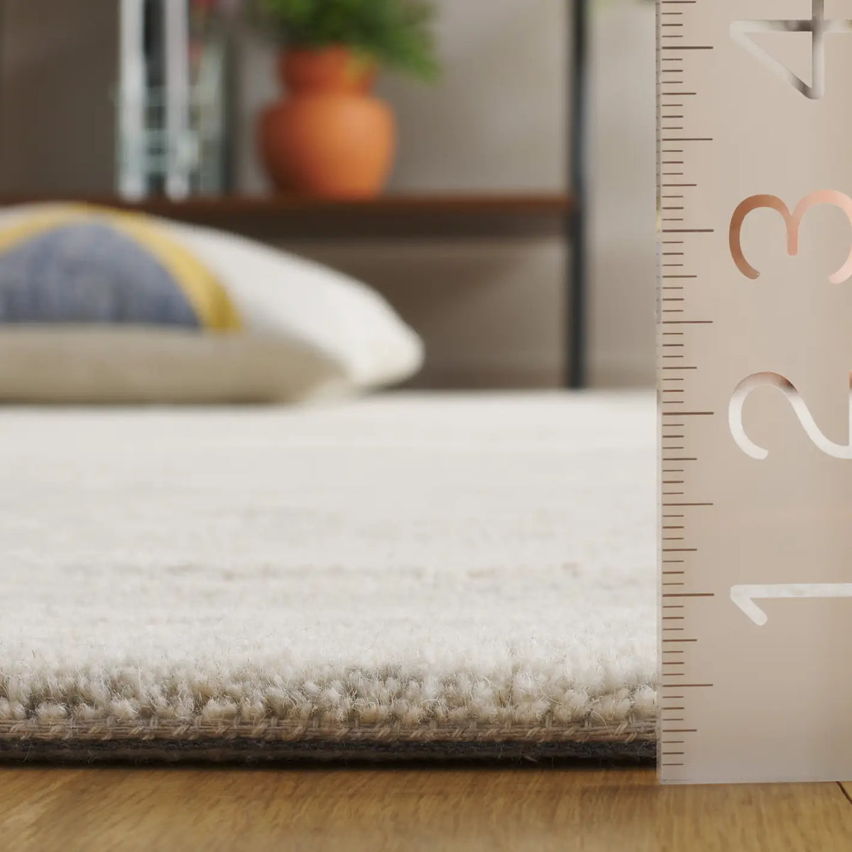 Safavieh Ebony 4'-0" x 6'-0" Rug in Light Grey / Beige
