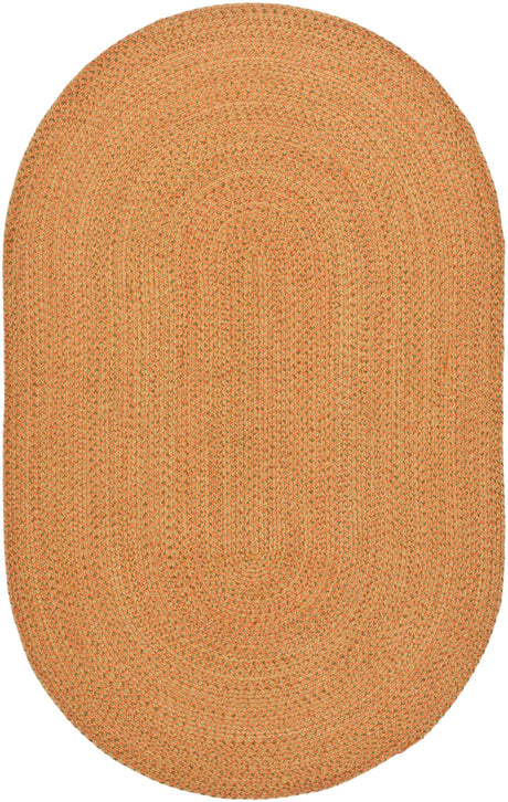 Safavieh Braided 5'-0" x 8'-0" Rug in Multi