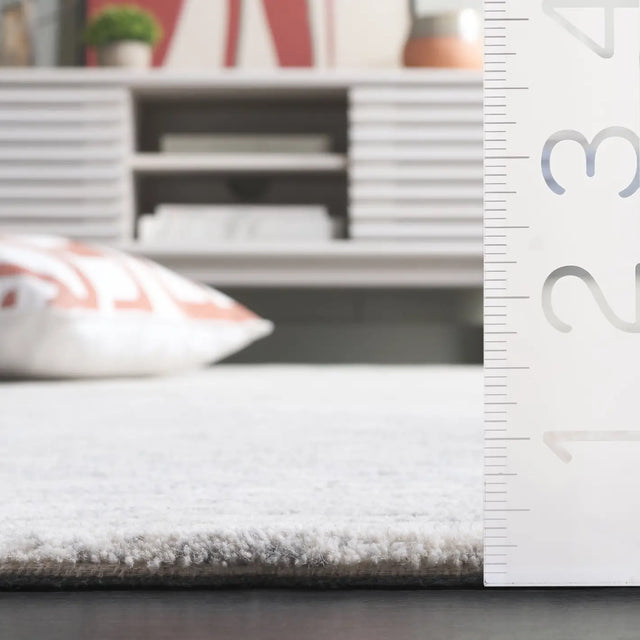 Safavieh Ebony 4'-0" x 6'-0" Rug in Ivory / Dark Grey