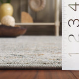 Safavieh Avalon 4'-0" x 6'-0" Rug in Grey / Light Blue