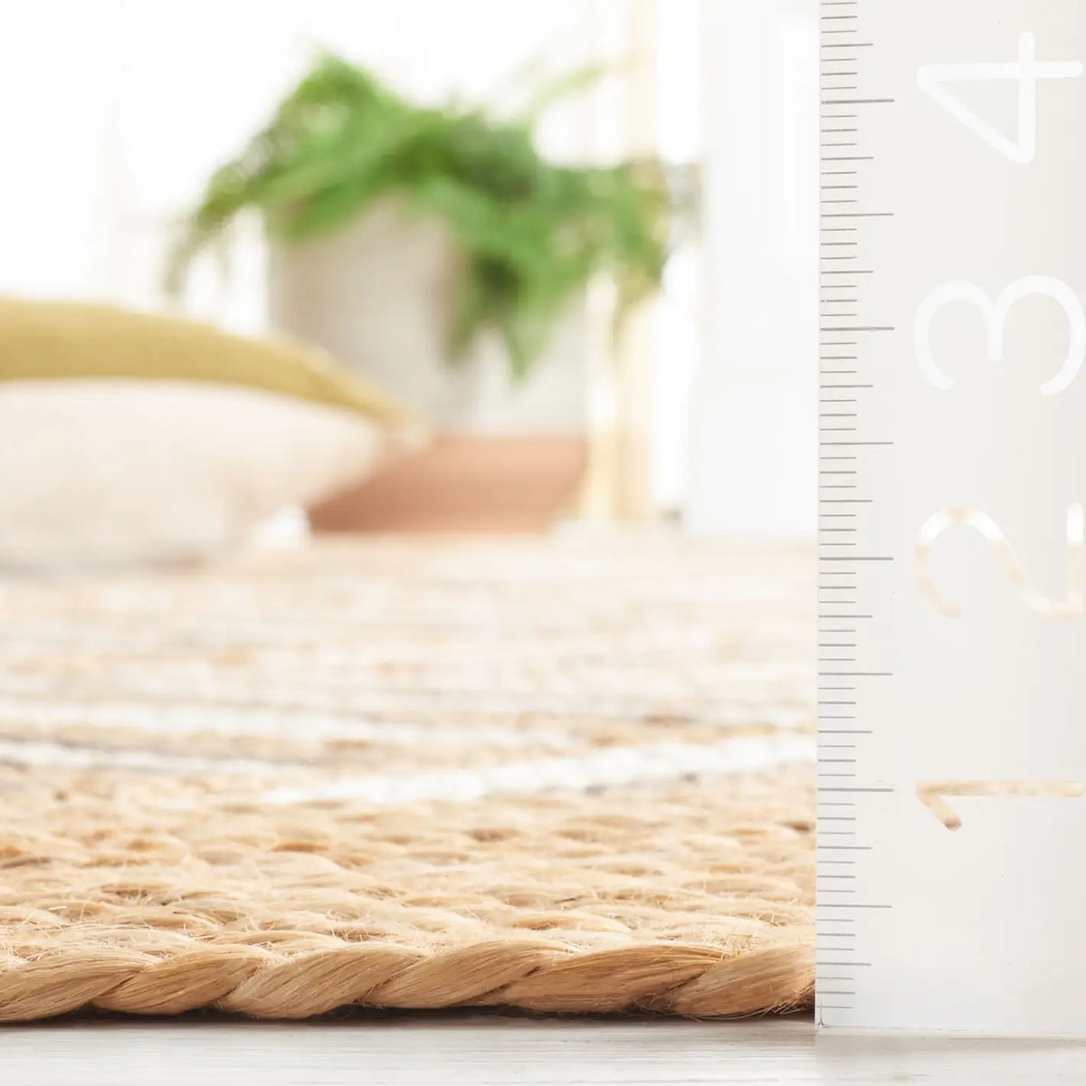 Safavieh Natural Fiber 4'-0" x 6'-0" Rug in Natural / Grey