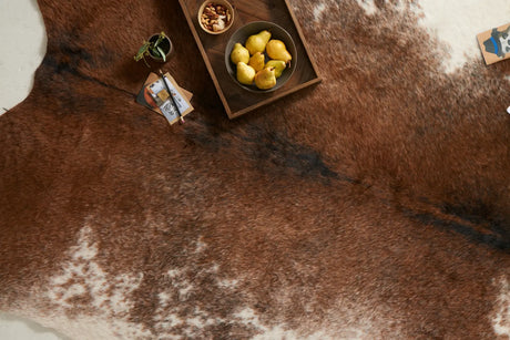 Loloi Grand Canyon Gc-14 Coffee / Ivory Rugs - styled aerial 1