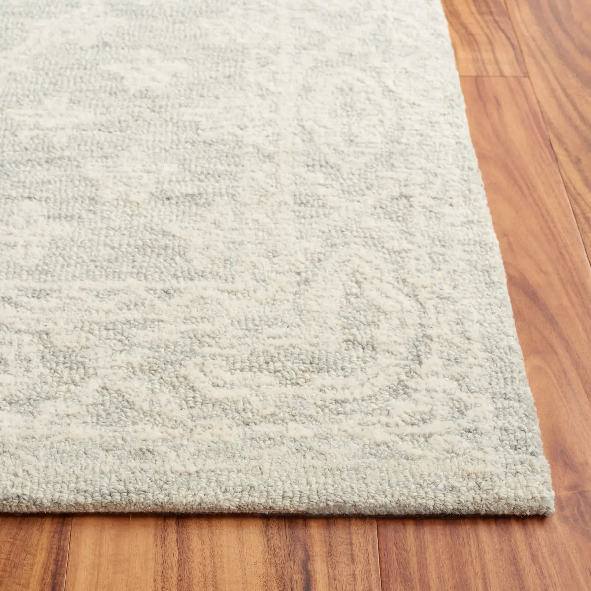 Safavieh Ebony 4'-0" x 6'-0" Rug in Ivory / Light Blue