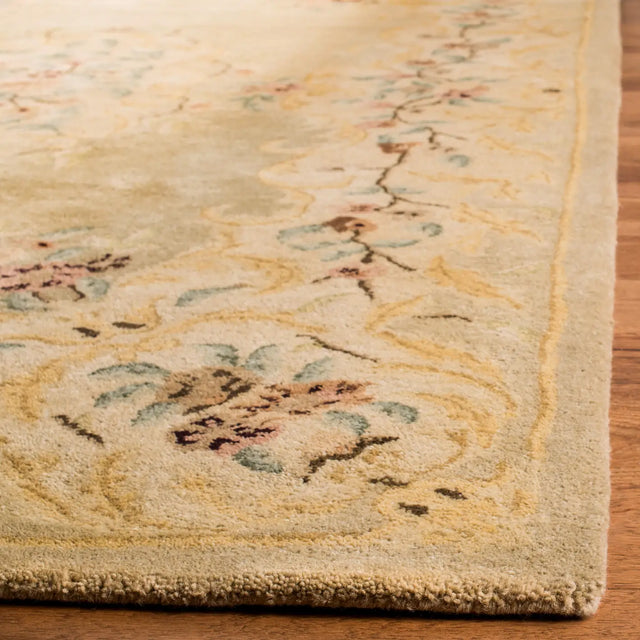 Safavieh Bergama 4'-0" x 6'-0" Rug in Light Green / Beige