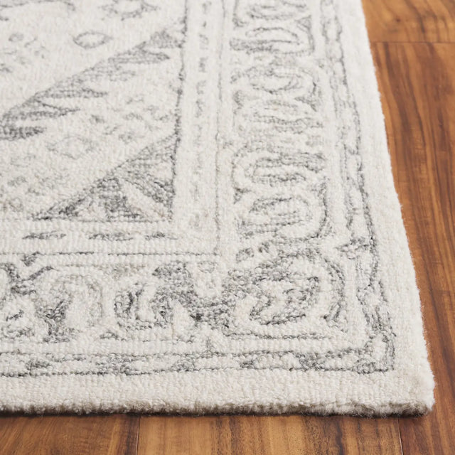 Safavieh Ebony 4'-0" x 6'-0" Rug in Ivory / Grey