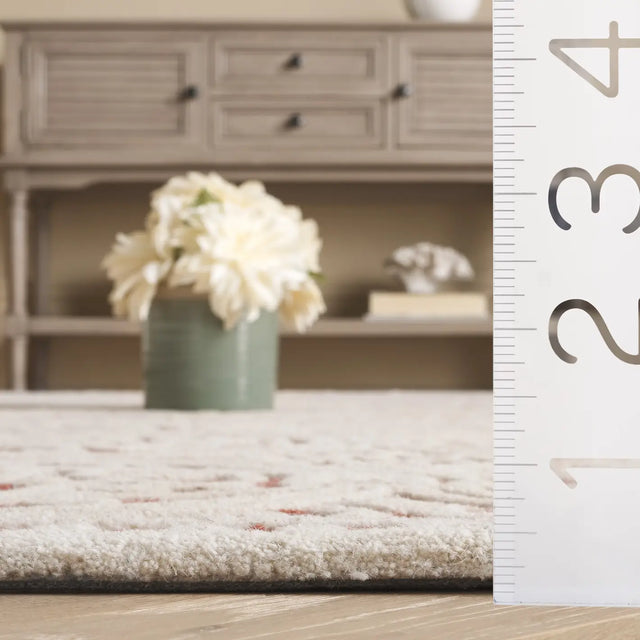 Safavieh Cambridge 4'-0" x 6'-0" Rug in Ivory / Red