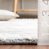 Safavieh Ebony 4'-0" x 6'-0" Rug in Grey / Ivory