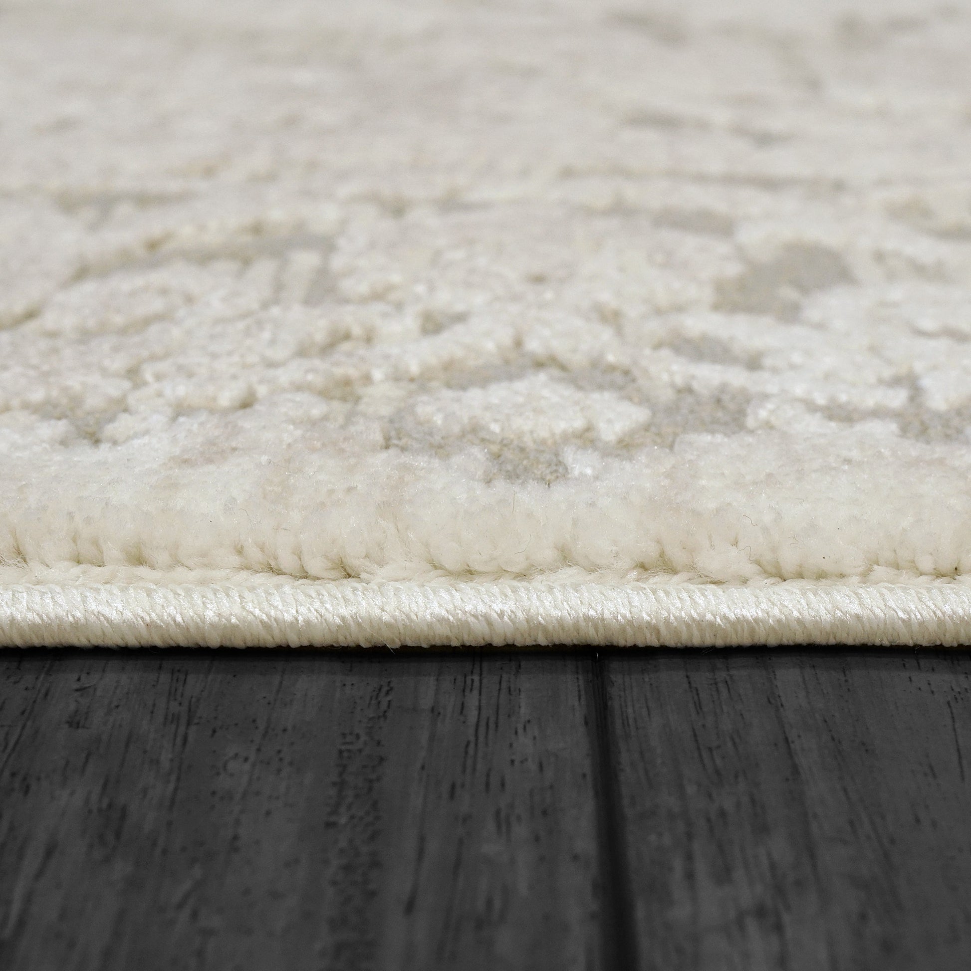 Dynamic Rugs Bailey 3881 Beige/Ivory/Grey Area Rug