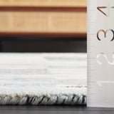 Safavieh Ebony 4'-0" x 6'-0" Rug in Ivory / Grey