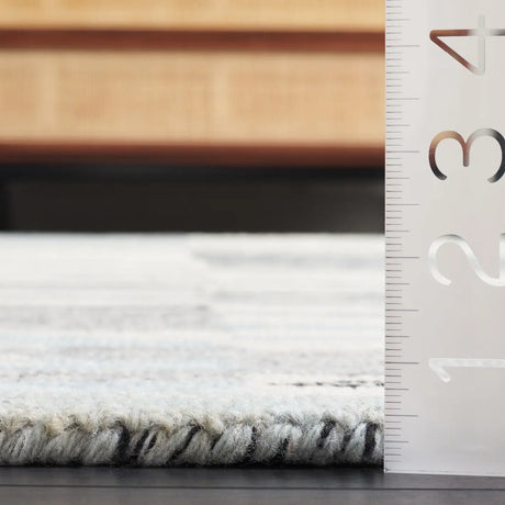 Safavieh Ebony 4'-0" x 6'-0" Rug in Ivory / Grey