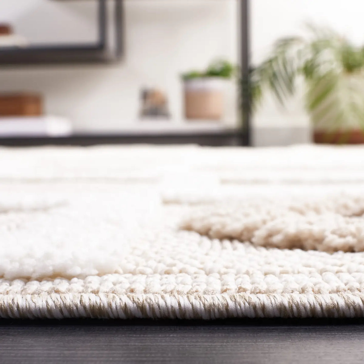Safavieh Trends 4'-0" x 6'-0" Rug in Beige / Ivory