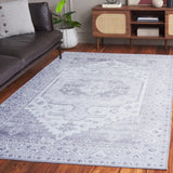 Safavieh Tucson 4'-0" x 6'-0" Rug in Light Grey