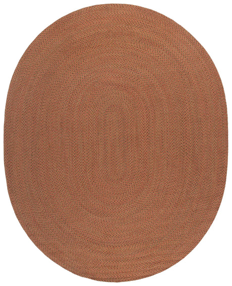 Safavieh Braided 8'-0" x 10'-0" Rug in Multi