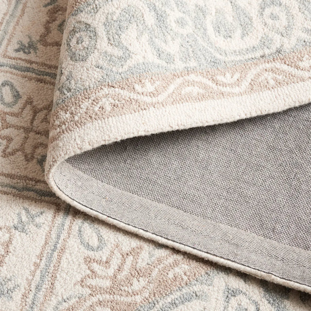 Safavieh Ebony 4'-0" x 6'-0" Rug in Grey / Ivory