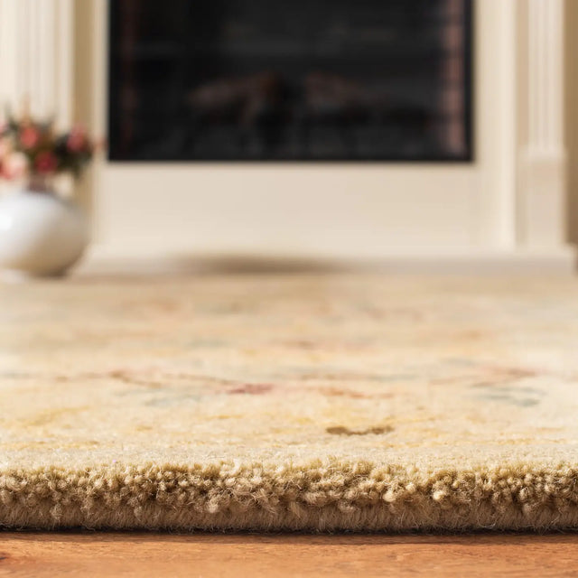 Safavieh Bergama 4'-0" x 6'-0" Rug in Light Green / Beige
