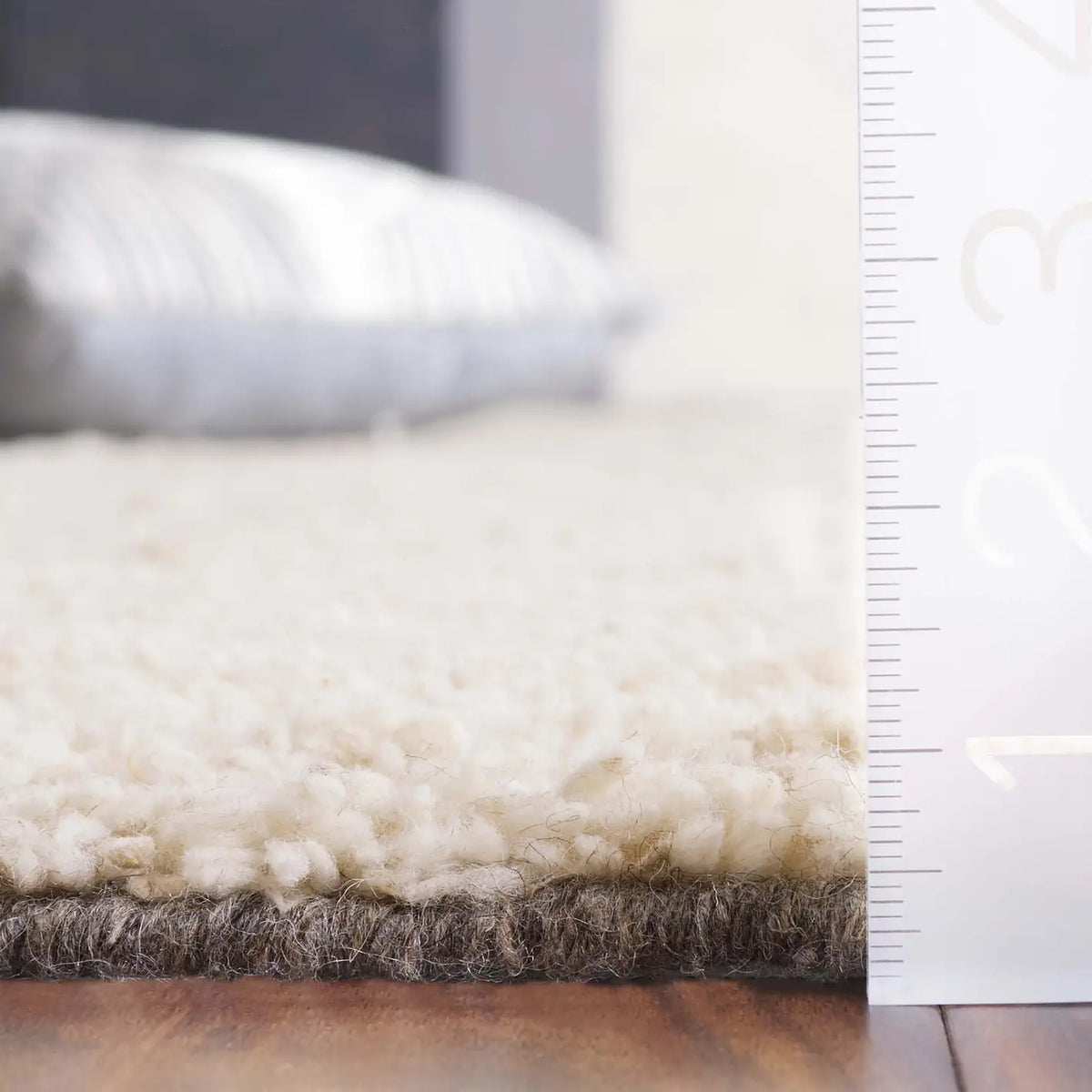 Safavieh Casablanca 4'-0" x 6'-0" Rug in Natural / Beige