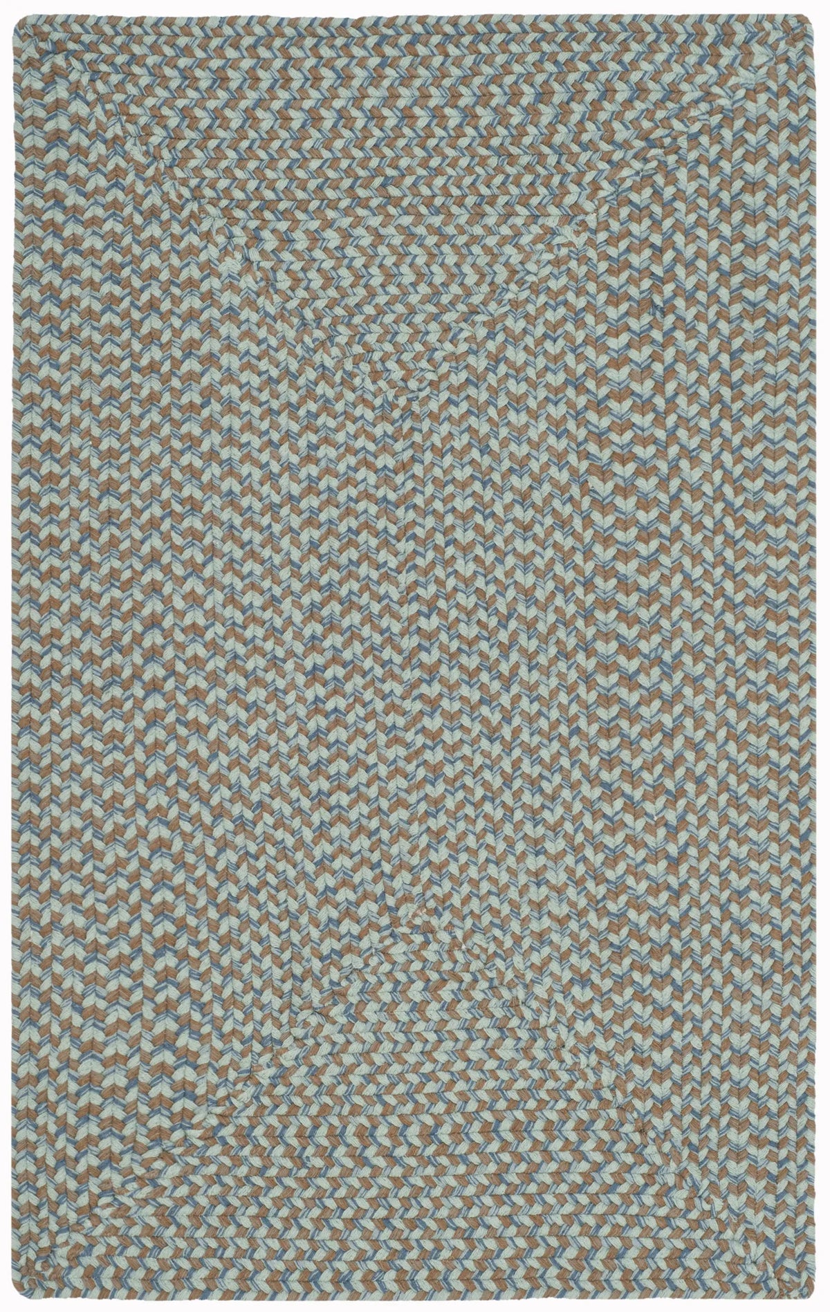 Safavieh Braided 2'-6" x 4'-0" Rug in Multi