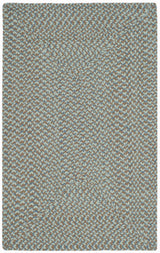 Safavieh Braided 2'-6" x 4'-0" Rug in Multi