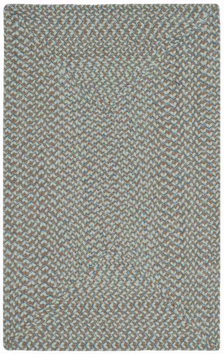 Safavieh Braided 2'-6" x 4'-0" Rug in Multi
