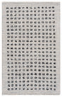 Safavieh Ebony 3'-0" x 5'-0" Rug in Beige / Black