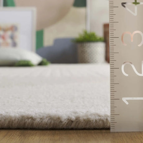 Safavieh Rodeo Drive 4'-0" x 6'-0" Rug in Ivory / Beige