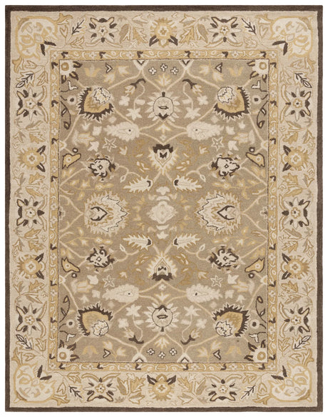 Safavieh Anatolia 9'-6" x 13'-6" Rug in Sage / Beige