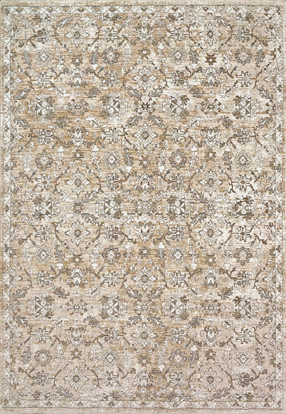 Dynamic Rugs Octo 6902 Cream/Multi Area Rug