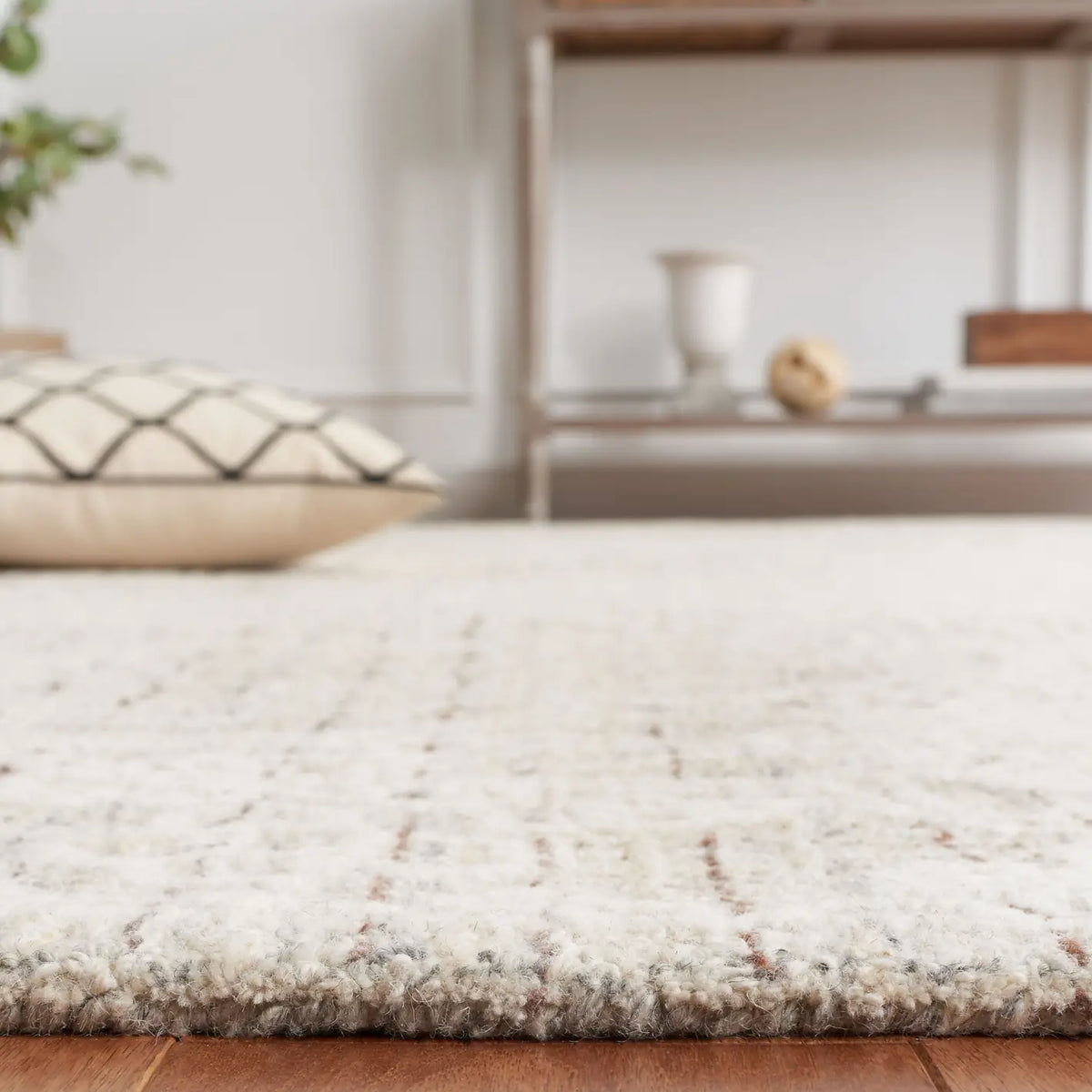 Safavieh Ebony 4'-0" x 6'-0" Rug in Grey / Ivory