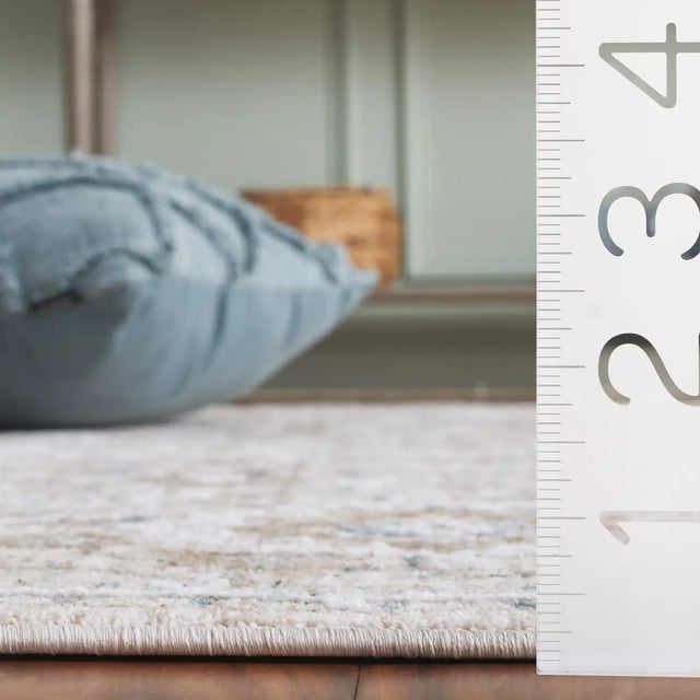 Safavieh Finley 4'-0" x 6'-0" Rug in Beige / Blue