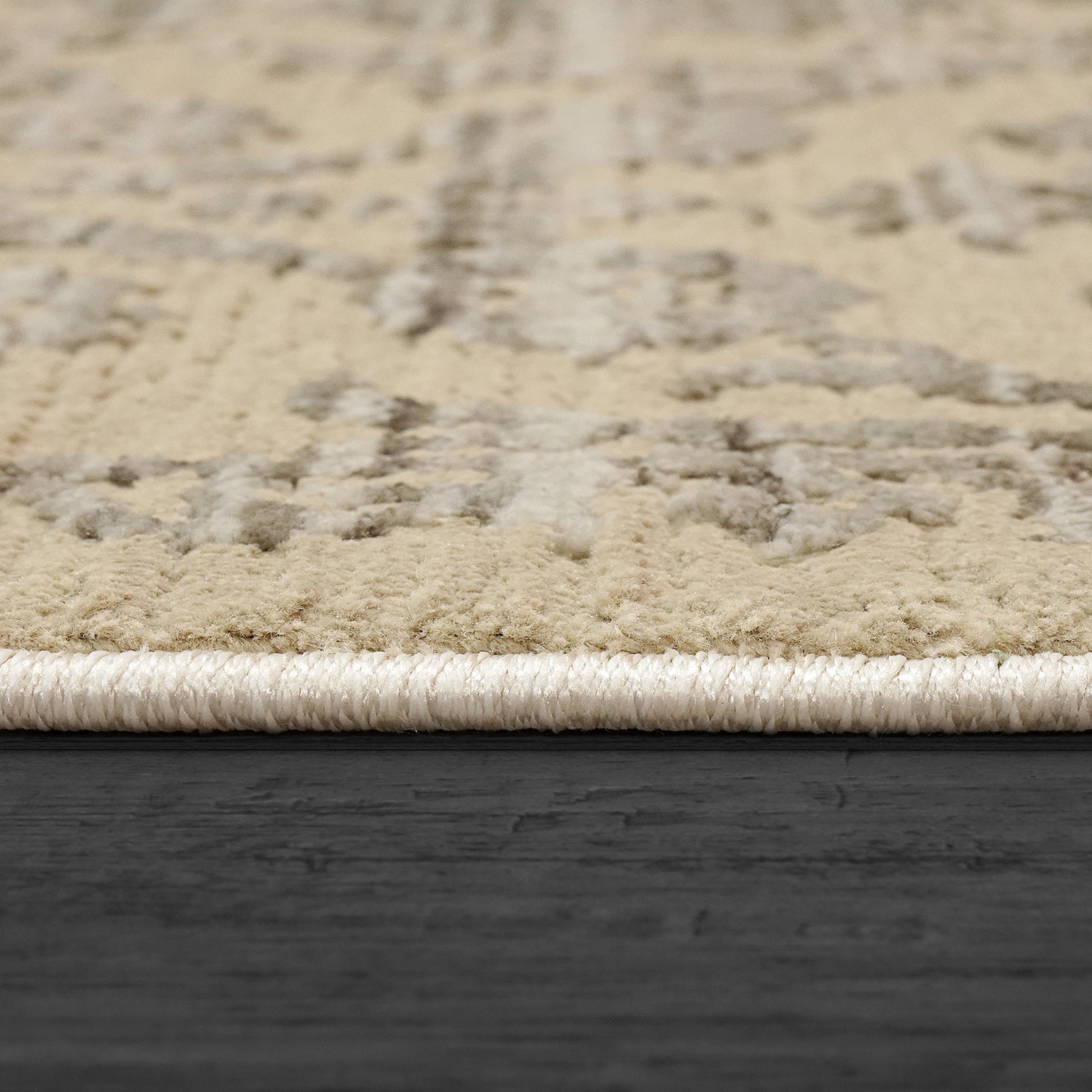 Dynamic Rugs Bailey 3883 Beige/Grey Area Rug