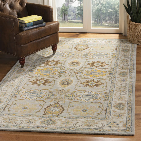 Safavieh Heritage 4'-0" x 6'-0" Rug in Light Grey / Grey
