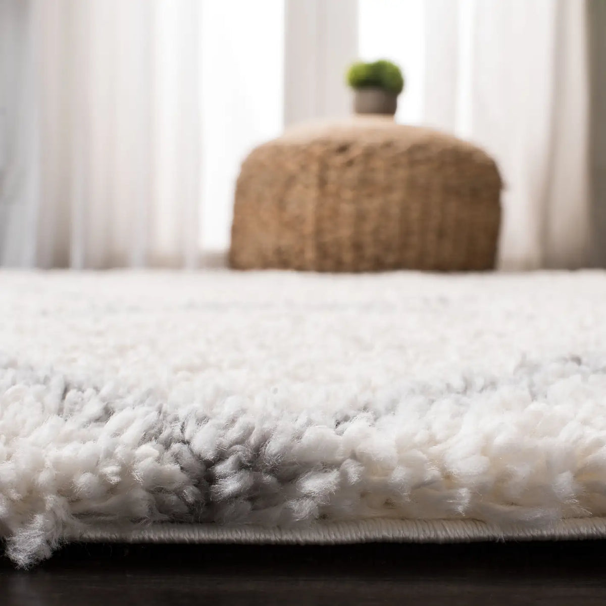 Safavieh Fontana Shag  800 4'-0" x 6'-0" Rug in Cream / Grey