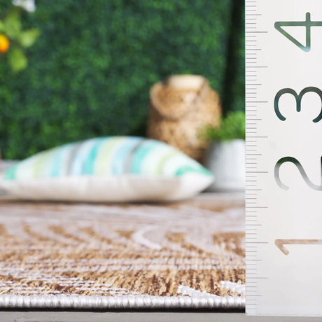Safavieh Beach House 4'-0" x 6'-0" Rug in Brown / Ivory