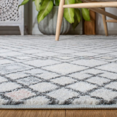 Safavieh Amsterdam 4'-0" x 6'-0" Rug in Grey / Ivory
