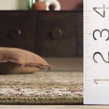 Safavieh Lyndhurst 4'-0" x 6'-0" Rug in Sage / Ivory